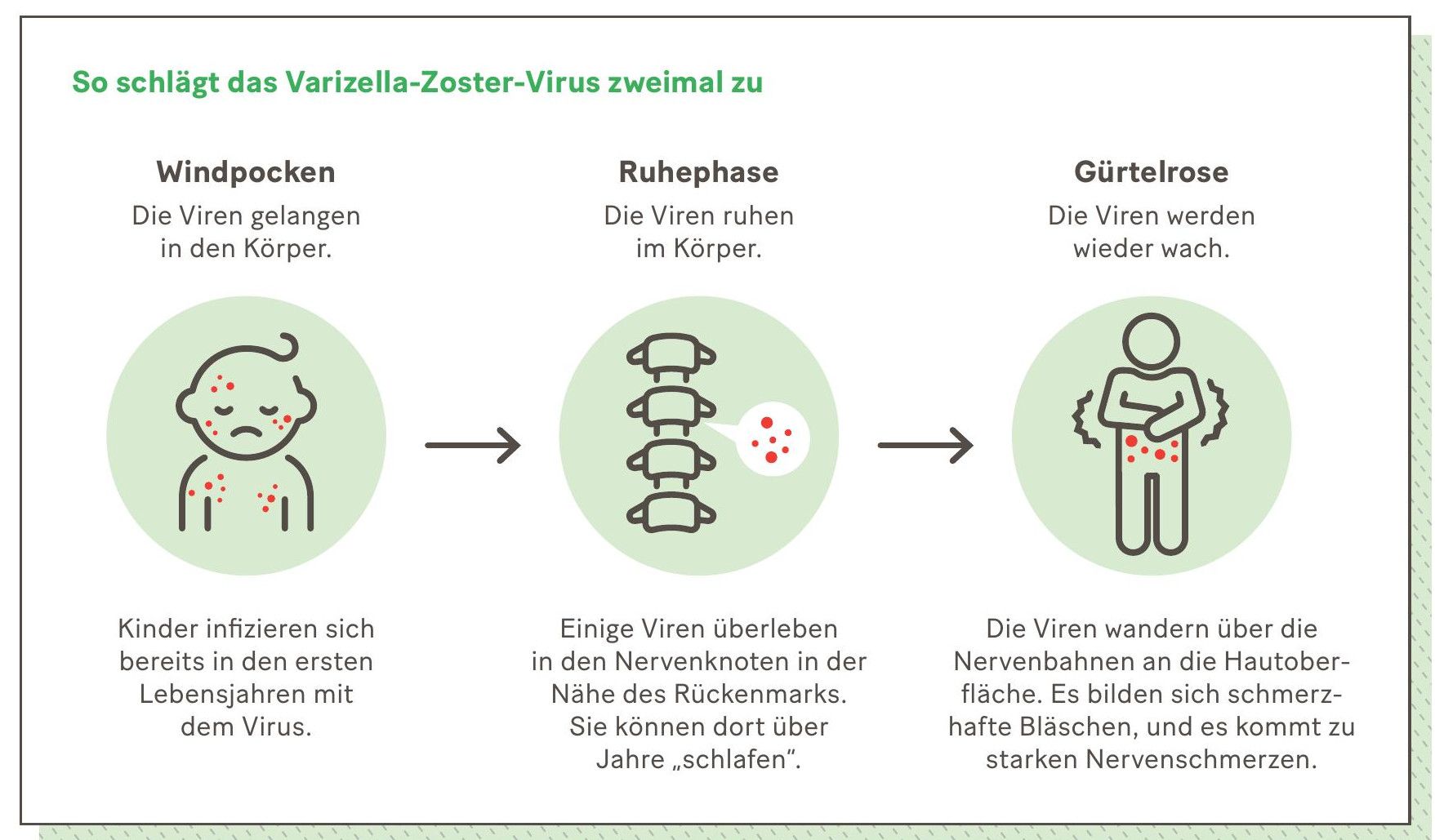 (Abbildung)