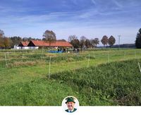 erstes Bild im Artikel
