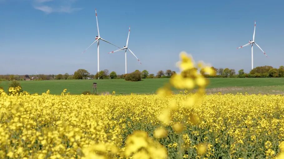 Wenig Wind, viel Sonnenschein: In Schleswig-Holstein ist die Erzeugung von Windstrom eingebrochen - aber die Solarstromproduktion in die Höhe geschossen. FOTO: MARKUS SCHOLZ UP-DOWN